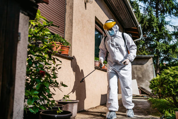 Best Termite Control Services  in , NM