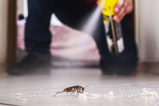 Best Pest Control Treatment  in , NM