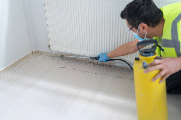 Best Flea Control Services  in , NM