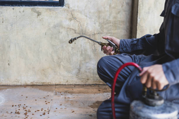 Best Commercial Pest Control Services  in , NM